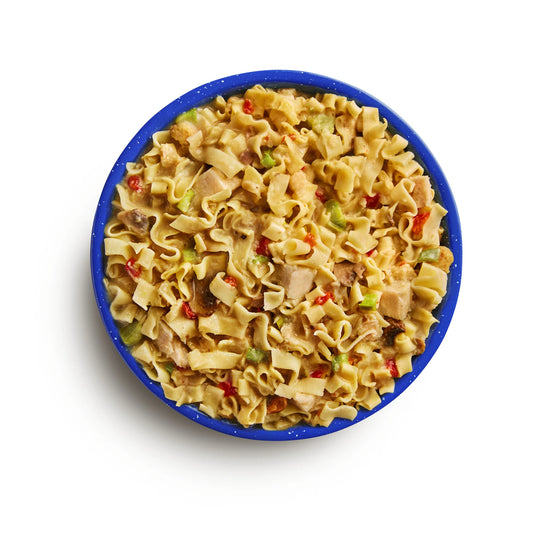 MOUNTAIN HOUSE CHICKEN NOODLE CASSEROLE CAN
