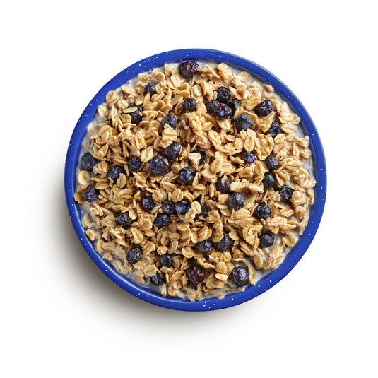 MOUNTAIN HOUSE GRANOLA MILK & BLUEBERRY CAN