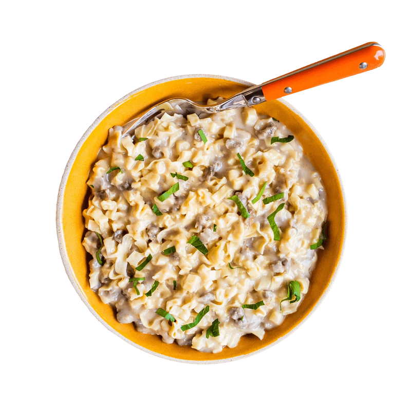 Load image into Gallery viewer, MOUNTAIN HOUSE CLASSIC BEEF STROGANOFF W/ NOODLES

