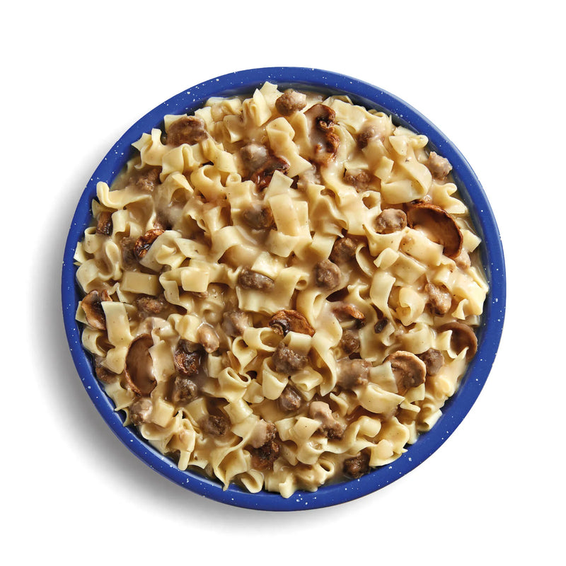 Load image into Gallery viewer, MOUNTAIN HOUSE BEEF STROGANOFF
