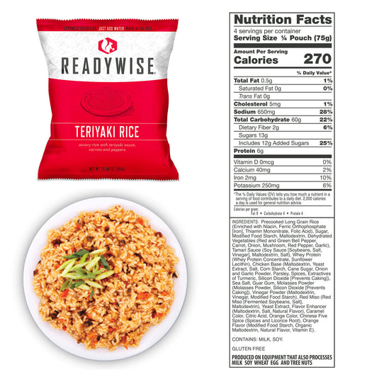 READY WISE 72 HR EMERGENCY KIT 1 PERSON